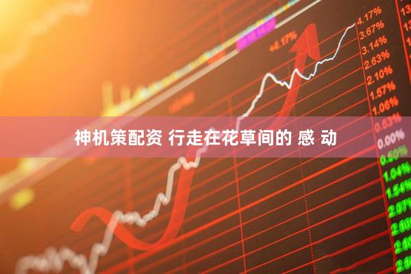 神机策配资 行走在花草间的 感 动