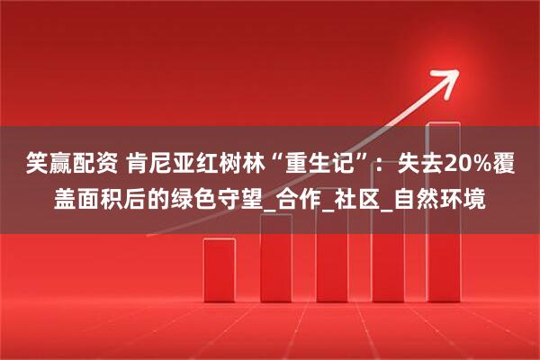 笑赢配资 肯尼亚红树林“重生记”：失去20%覆盖面积后的绿色守望_合作_社区_自然环境